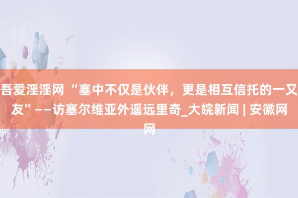 吾爱淫淫网 “塞中不仅是伙伴，更是相互信托的一又友”——访塞尔维亚外遥远里奇_大皖新闻 | 安徽网