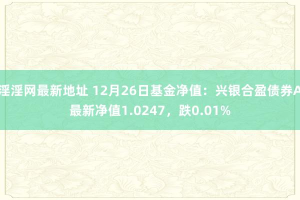 淫淫网最新地址 12月26日基金净值：兴银合盈债券A最新净值1.0247，跌0.01%