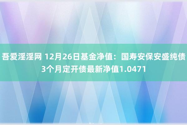 吾爱淫淫网 12月26日基金净值：国寿安保安盛纯债3个月定开债最新净值1.0471