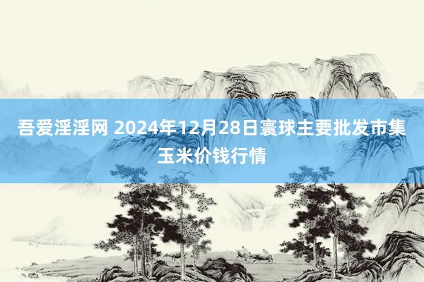 吾爱淫淫网 2024年12月28日寰球主要批发市集玉米价钱行情