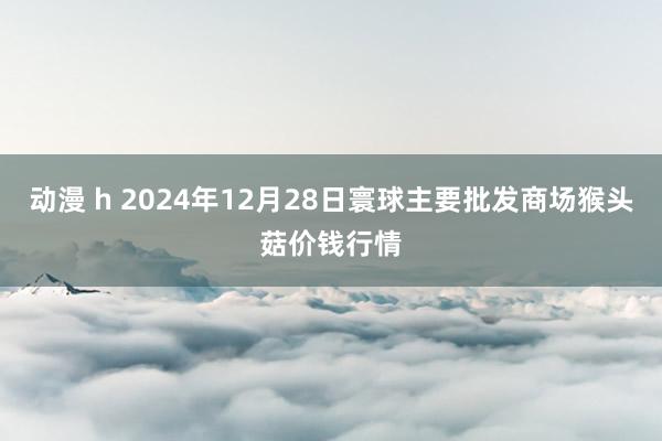 动漫 h 2024年12月28日寰球主要批发商场猴头菇价钱行情