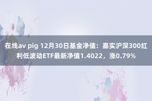 在线av pig 12月30日基金净值：嘉实沪深300红利低波动ETF最新净值1.4022，涨0.79%