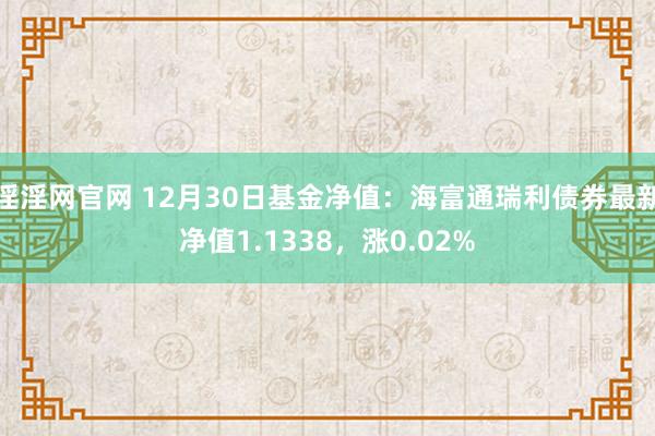 淫淫网官网 12月30日基金净值：海富通瑞利债券最新净值1.1338，涨0.02%