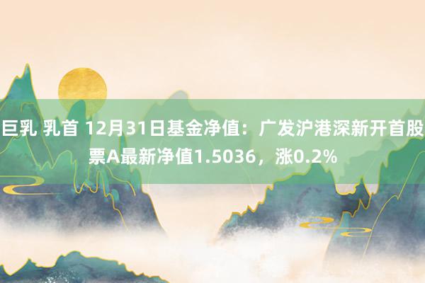 巨乳 乳首 12月31日基金净值：广发沪港深新开首股票A最新净值1.5036，涨0.2%