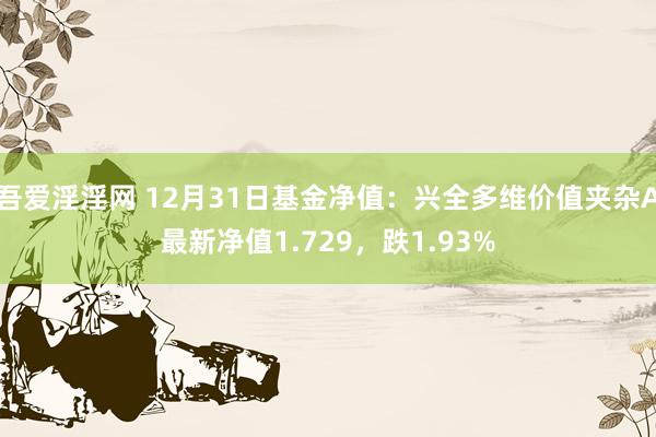 吾爱淫淫网 12月31日基金净值：兴全多维价值夹杂A最新净值1.729，跌1.93%