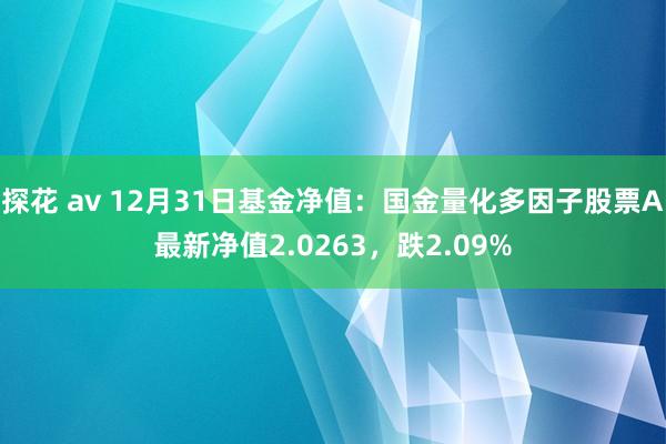 探花 av 12月31日基金净值：国金量化多因子股票A最新净值2.0263，跌2.09%