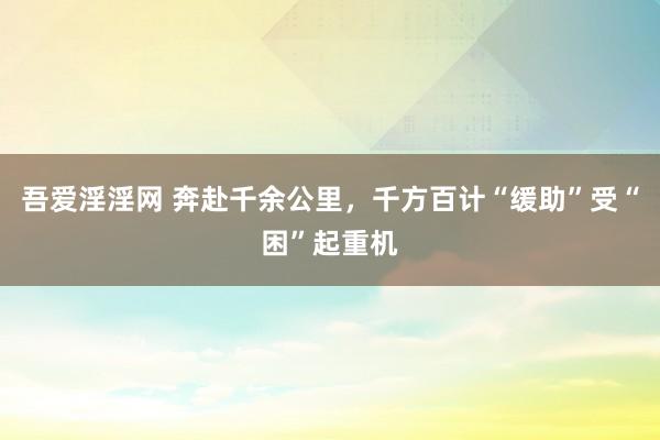 吾爱淫淫网 奔赴千余公里，千方百计“缓助”受“困”起重机