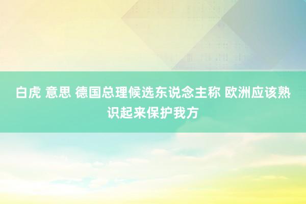 白虎 意思 德国总理候选东说念主称 欧洲应该熟识起来保护我方