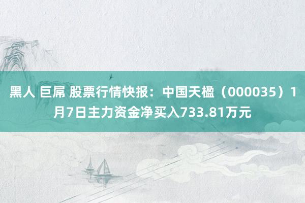 黑人 巨屌 股票行情快报：中国天楹（000035）1月7日主力资金净买入733.81万元