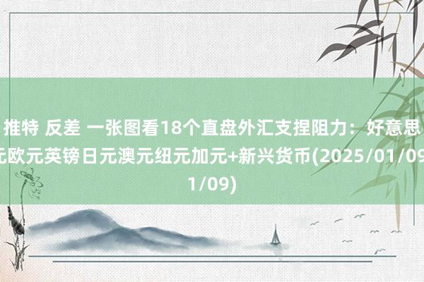 推特 反差 一张图看18个直盘外汇支捏阻力：好意思元欧元英镑日元澳元纽元加元+新兴货币(2025/01/09)