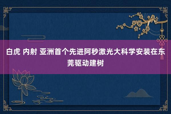 白虎 内射 亚洲首个先进阿秒激光大科学安装在东莞驱动建树