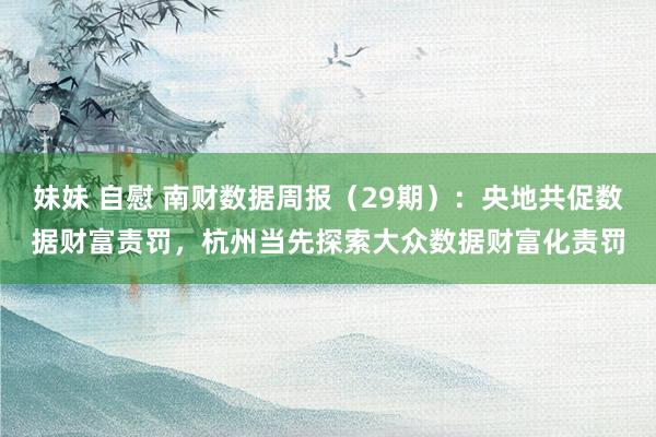 妹妹 自慰 南财数据周报（29期）：央地共促数据财富责罚，杭州当先探索大众数据财富化责罚