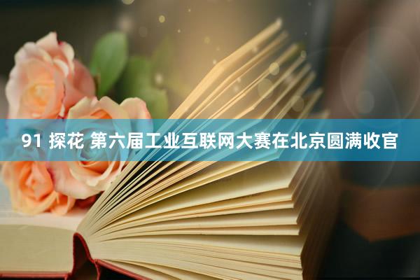 91 探花 第六届工业互联网大赛在北京圆满收官