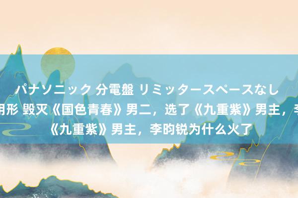 パナソニック 分電盤 リミッタースペースなし 露出・半埋込両用形 毁灭《国色青春》男二，选了《九重紫》男主，李昀锐为什么火了