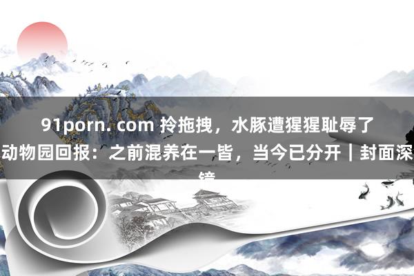 91porn. com 拎拖拽，水豚遭猩猩耻辱了？动物园回报：之前混养在一皆，当今已分开｜封面深镜