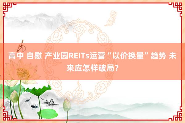 高中 自慰 产业园REITs运营“以价换量”趋势 未来应怎样破局？