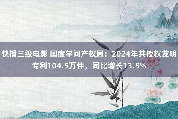 快播三级电影 国度学问产权局：2024年共授权发明专利104.5万件，同比增长13.5%