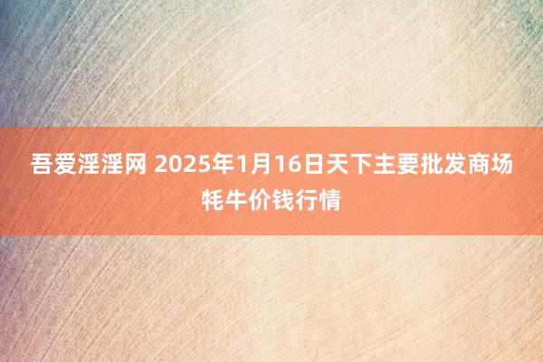 吾爱淫淫网 2025年1月16日天下主要批发商场牦牛价钱行情