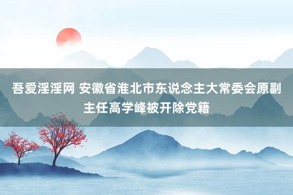 吾爱淫淫网 安徽省淮北市东说念主大常委会原副主任高学峰被开除党籍