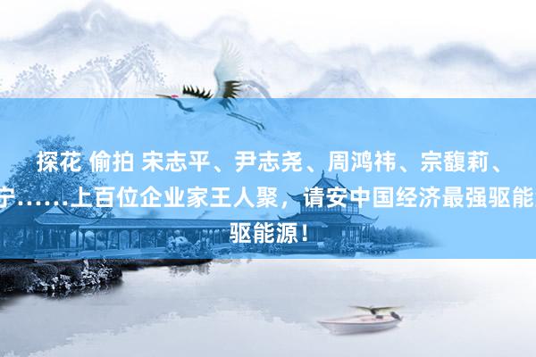 探花 偷拍 宋志平、尹志尧、周鸿祎、宗馥莉、王宁……上百位企业家王人聚，请安中国经济最强驱能源！